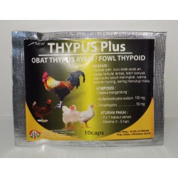 Thypus Plus 10 Capsul Original - Obat Anti Thypus Ayam Fowl Thypoid Typhoid Typhus Tifus Tifes Unggas