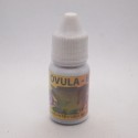 Ovula B Drop Burung 10 ml Original - Obat Birahi dan Penyuburan Burung