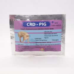 CRD Pig 10 Capsul Original - Mengatasi Sakit Pernapasan Kronis Pada Babi