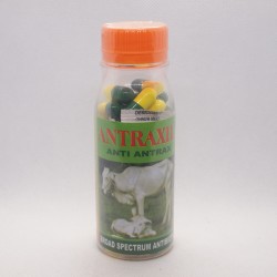 Antraxil 40 Capsul Original - Anti Antrax Obat Broad Spectrum Antibiotik Sapi