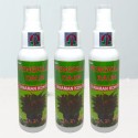 Rainbow Pengkilap Daun Leaf Shine Spray 100ml Original - Semir Pengkilap Daun Mencegah Hama Organik