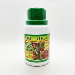 Big Up 120 ml Original - Pemacu Daun dan Tunas pada Tanaman Hias