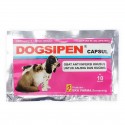 Dogsipen 10 Capsul Original - Antibiotik Khusus untuk Anjing dan Kucing